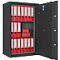 Armoire de sécurité pour documents Paper Star Duplex Pro 3, gris graphite