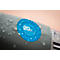 Avery Zweckform testbadges met jaartal 20xx, Ø 30 mm, PVC-folie op papier, blauw