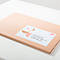 A beige envelope with a label. The label contains a name and address.