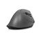 Graue ergonomische Maus, leicht angewinkelt. Schwarze Basis, Scrollrad und Tasten erkennbar.