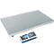 Balance pour colis KERN EOC 100K-2XXL - balance plate-forme robuste en acier inoxydable, étendue de pesée 60/150 kg, plate-forme extra large, IP65