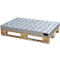 Bauer Bac pour petits récipients KGW-P 4/M V4A, pour palettes Euro et palettes chimie, inox, L 1200 x l 600 x H 120 mm, jusqu'à 200 kg, avec grille en tôle perforée