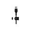 Ein schwarzes USB-Kabel mit der Aufschrift "Belkin" und einer Kabelführung.