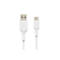 Weißes USB-C-Kabel; ein USB-A- und ein USB-C-Anschluss sind zu sehen.