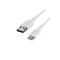 Weißes USB-C-Kabel von Belkin, das an einem Ende einen USB-A-Anschluss und am anderen Ende einen USB-C-Anschluss hat.