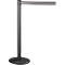Black barrier posts with black ribbon and silver stripes, white background.