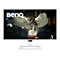 Le moniteur BenQ affiche un hibou debout sur une valise dans un cadre urbain nocturne. Des plumes flottent au premier plan.