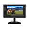 BenQ Monitor vor weißem Hintergrund mit Adobe After Effects Oberfläche und Pferden im Landschaftsbild.