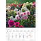 Bildkalender Korsch Blütenzauber 2026, mit Fotomotiven, B 235 x H 335 mm, Papier
