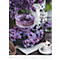 Bildkalender Korsch Seasons 2026, mit Fotomotiven, Illustrationen und Deko-Elementen, B 300 x H 420 mm, Papier