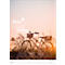 Bildkalender Korsch Seasons 2026, mit Fotomotiven, Illustrationen und Deko-Elementen, B 300 x H 420 mm, Papier