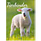 Bildkalender Korsch Tierkinder 2026, mit Tierbaby-Fotomotiven, B 235 x H 335 mm, Papier