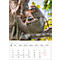 Bildkalender Korsch Tierkinder 2026, mit Tierbaby-Fotomotiven, B 235 x H 335 mm, Papier