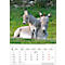 Bildkalender Korsch Tierkinder 2026, mit Tierbaby-Fotomotiven, B 235 x H 335 mm, Papier