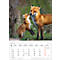 Bildkalender Korsch Tierkinder 2026, mit Tierbaby-Fotomotiven, B 235 x H 335 mm, Papier