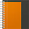 Bloc-notes Oxford International Activebook, 80 pages, DIN B5, quadrillé, avec marge, Optik Paper®, reliure à double spirale