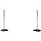 Two silver stanchions with black round bases on a white background.