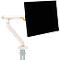 Bras pour écran BakkerElkhuizen BE Flexible, pour 1 écran, jusqu'à 10 kg, pivotant, inclinable et incliné, largeur de serrage 80 mm, compatible VESA, ergonomique, réglable en hauteur de 170 à 582 mm, gris clair/blanc