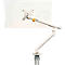 Bras pour écran BakkerElkhuizen BE Flexible, pour 1 écran, jusqu'à 10 kg, pivotant, inclinable et incliné, largeur de serrage 80 mm, compatible VESA, ergonomique, réglable en hauteur de 170 à 582 mm, gris clair/blanc