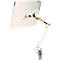 Bras pour écran BakkerElkhuizen BE Flexible, pour 1 écran, jusqu'à 10 kg, pivotant, inclinable et incliné, largeur de serrage 80 mm, compatible VESA, ergonomique, réglable en hauteur de 170 à 582 mm, gris clair/blanc