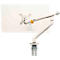 Bras pour écran BakkerElkhuizen BE Flexible, pour 1 écran, jusqu'à 10 kg, pivotant, inclinable et incliné, largeur de serrage 80 mm, compatible VESA, ergonomique, réglable en hauteur de 170 à 582 mm, gris clair/blanc