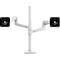 Bras pour écran double Ergotron LX 45-509-216, pour 2 écrans jusqu'à 40", jusqu'à 20 kg, réglable en hauteur, inclinable, pivotant &amp; inclinable, aluminium &amp; acier, blanc