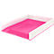 Brievenbak WOW Dual Leitz ®, wit/roze