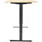 Bureau, elektrisch in hoogte verstelbaar, T-poot zonder dwarsbalk, B 1600 x D 800 x H 605-1265 mm, ahorn/zwart