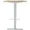 Bureau, elektrisch in hoogte verstelbaar, T-poot zonder dwarsbalk, B 1600 x D 800 x H 605-1265 mm, eiken/zilver