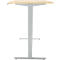 Bureau, elektrisch in hoogte verstelbaar, T-poot zonder traverse, B 1600 x D 800 x H 605-1265 mm, ahorn/zilver
