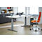 Bureau, elektrisch in hoogte verstelbaar, T-voet, B 1600 x D 800 x H 645-1290 mm, alu wit/wit + kabelgoot, accessoirelade