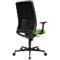 Bureaustoel SSI Lady Proline - 3D punt synchroonmechanisme - wellness zitting - 3D netrugleuning - met armleuningen - zwart/groens - Schäfer Shop Genius 