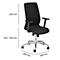 Bureaustoel SSI Proline Edition 10 - synchroon mechanisme - zitting met bekkensteun - netrug - met armleuningen - zwart- alu kruisvoet - Schäfer Shop Select