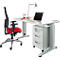 Bureautafel LOGIN - C-poot - B 1600 x D 800 x H 660-820 mm + 1 ladeblok - lichtgrijs - ons merk Schäfer Shop Select 