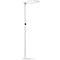 Butler LED vloerlamp, 80 W, 8800 lm, 4000 K, geschikt voor beeldschermwerkplekken, directe/indirecte verlichting, traploos dimbaar, bewegingssensor, zilver