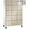 Kast met houtlook. Een deur is open.