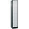 C+P lockerkast Resisto, 1 vak, 4 vakken, B 396 x D 540 x H 1950 mm, antracietgrijs/lichtgrijs