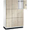 C+P Schließfachschrank Cambio, 3 Abteile, 9 Fächer, mit Sockel, B 1200 x T 525 x H 1980 mm, verkehrsweiß/Sen Esche-Dekor