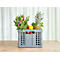 Caja gris con frutas, verduras y flores, sobre mesa clara. Piña, lechuga, limón, zanahoria y tulipanes son visibles.