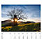 Calendrier illustré 'arborescent' Swiss Trees, L 490 x H 440 mm, format horizontal, calendrier DE/F/I/GB