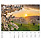 Calendrier illustré 'arborescent' Swiss Trees, L 490 x H 440 mm, format horizontal, calendrier DE/F/I/GB