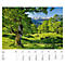 Calendrier illustré 'arborescent' Swiss Trees, L 490 x H 440 mm, format horizontal, calendrier DE/F/I/GB