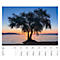 Calendrier illustré 'arborescent' Swiss Trees, L 490 x H 440 mm, format horizontal, calendrier DE/F/I/GB