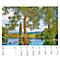 Calendrier illustré 'arborescent' Swiss Trees, L 490 x H 440 mm, format horizontal, calendrier DE/F/I/GB