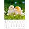 Calendrier illustré Korsch Enfants animaux 2026, avec des motifs photographiques de bébés animaux, L 235 x H 335 mm, papier