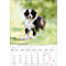 Calendrier illustré Korsch Enfants animaux 2026, avec des motifs photographiques de bébés animaux, L 235 x H 335 mm, papier