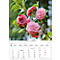 Calendrier illustré Korsch Magie des fleurs 2026, avec motifs photographiques, L 235 x H 335 mm, papier