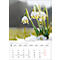 Calendrier illustré Korsch Magie des fleurs 2026, avec motifs photographiques, L 235 x H 335 mm, papier