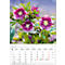 Calendrier illustré Korsch Magie des fleurs 2026, avec motifs photographiques, L 235 x H 335 mm, papier