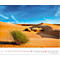Paysage désertique avec dunes de sable et ciel bleu. Premier plan : buisson vert. Dates du calendrier en bas.